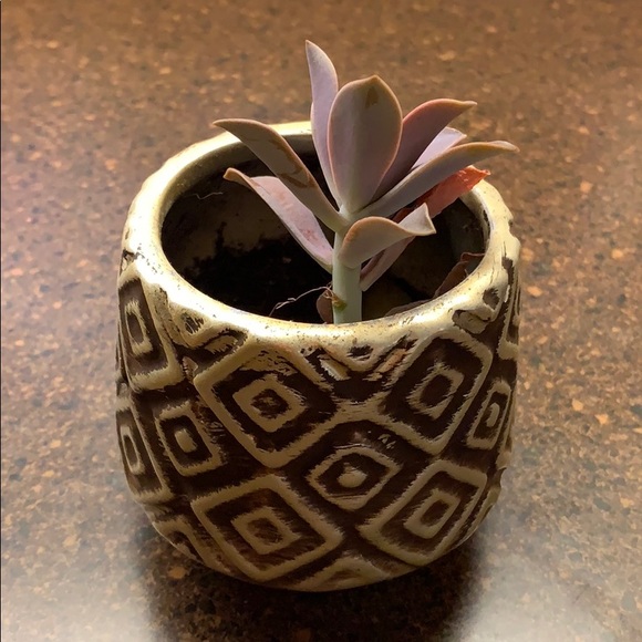 Meet your Posher, Zy - Picture 1 of 1